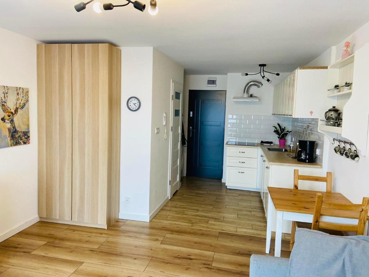 Apartament Przy Zdrojowej Ciechocinek Exterior foto